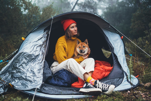 The 5 Best Campgrounds for Dogs